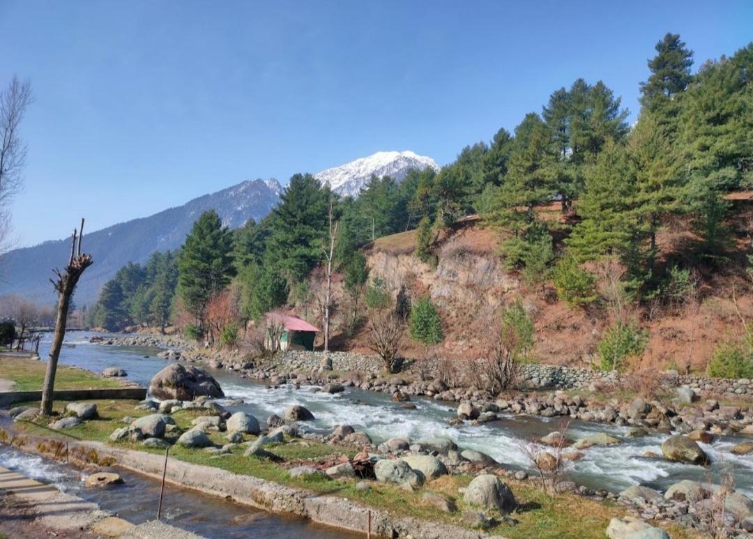 New Relax Inn, Pahalgam, 2 Km From Lidder Valley Exteriör bild