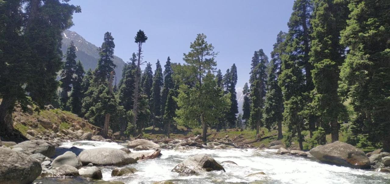 New Relax Inn, Pahalgam, 2 Km From Lidder Valley Exteriör bild