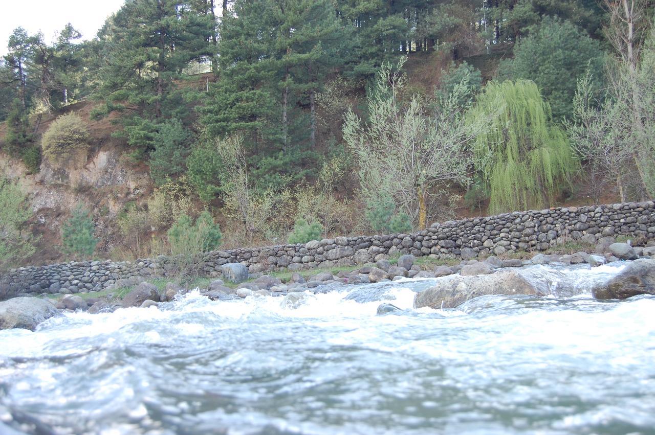 New Relax Inn, Pahalgam, 2 Km From Lidder Valley Exteriör bild